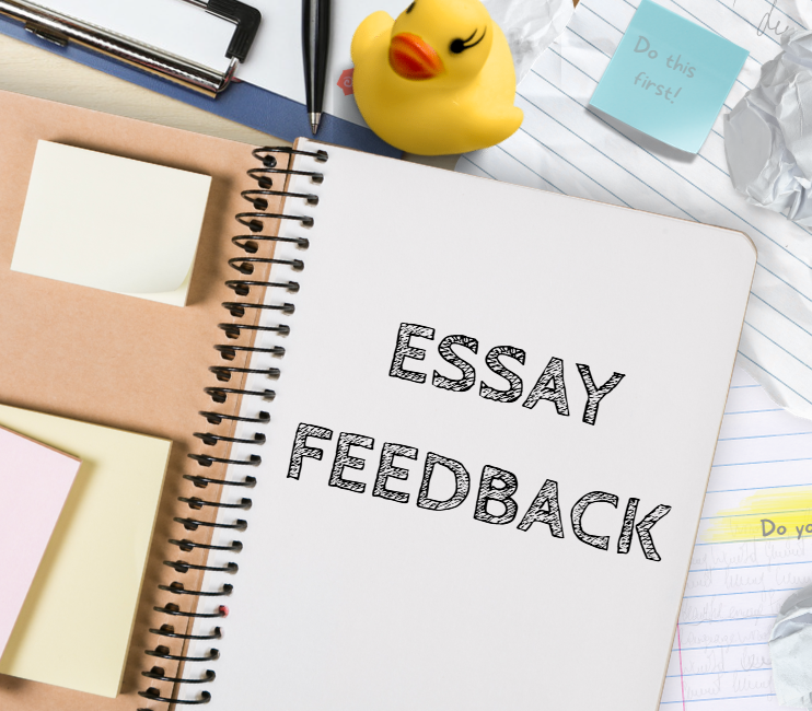 Essay Feedback: Self-Paced Workshop Add-On